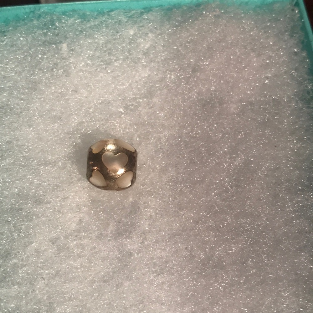Pandora charm